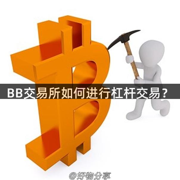 BB交易所如何进行杠杆交易？