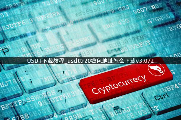 USDT下载教程_usdttr20钱包地址怎么下载v3.072