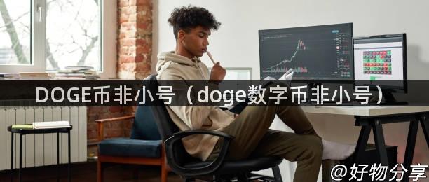 DOGE币非小号（doge数字币非小号）