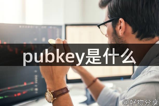 pubkey是什么