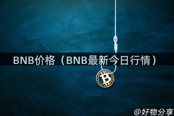 BNB价格（BNB最新今日行情）