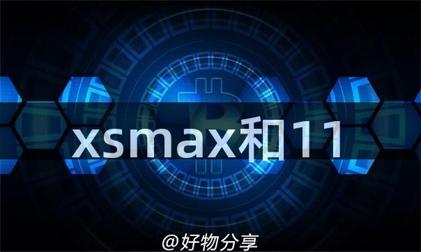 xsmax和11