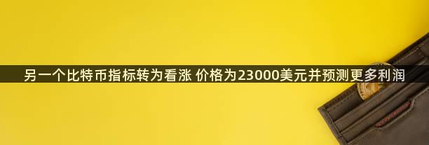 另一个比特币指标转为看涨 价格为23000美元并预测更多利润