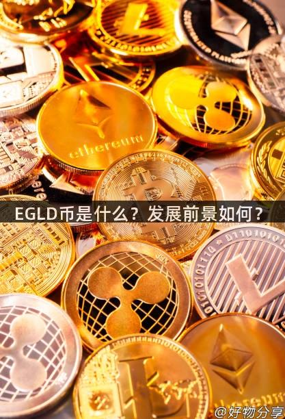 EGLD币是什么？发展前景如何？