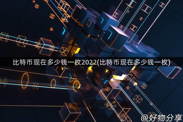 比特币现在多少钱一枚2022(比特币现在多少钱一枚)