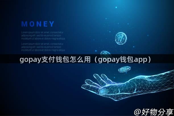 gopay支付钱包怎么用（gopay钱包app）