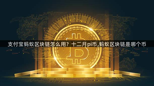 支付宝蚂蚁区块链怎么用？十二月pi币,蚂蚁区块链是哪个币