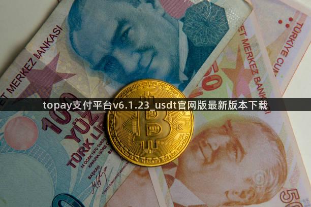 topay支付平台v6.1.23_usdt官网版最新版本下载