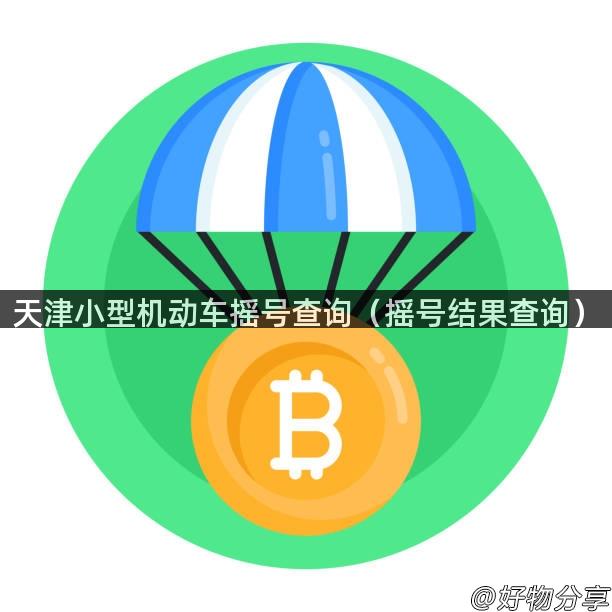 天津小型机动车摇号查询（摇号结果查询）