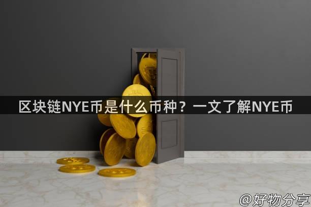 区块链NYE币是什么币种？一文了解NYE币