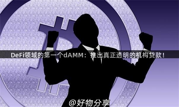 DeFi领域的第一个dAMM：推出真正透明的机构贷款！