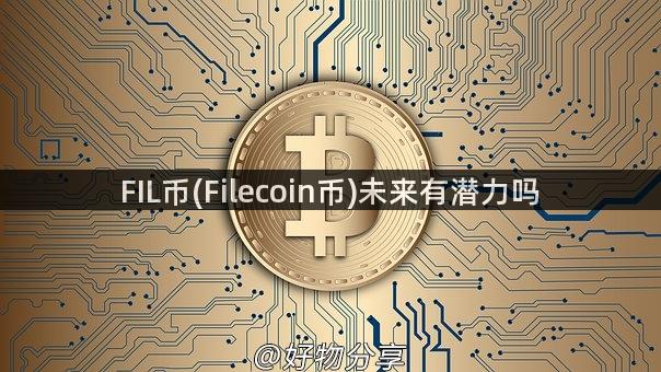 FIL币(Filecoin币)未来有潜力吗