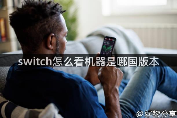 switch怎么看机器是哪国版本