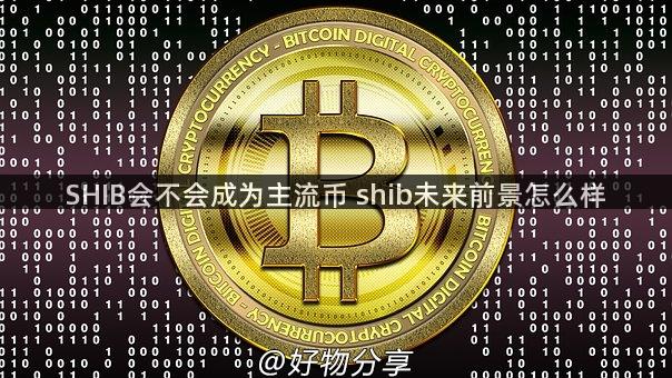 SHIB会不会成为主流币 shib未来前景怎么样