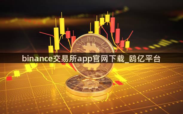 binance交易所app官网下载_鸥亿平台