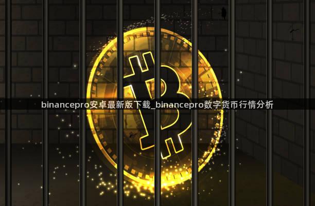 binancepro安卓最新版下载_binancepro数字货币行情分析