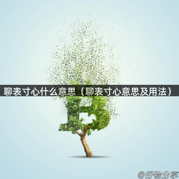 聊表寸心什么意思（聊表寸心意思及用法）