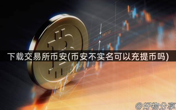 下载交易所币安(币安不实名可以充提币吗)