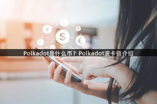 Polkadot是什么币？Polkadot波卡链介绍