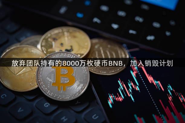 放弃团队持有的8000万枚硬币BNB，加入销毁计划