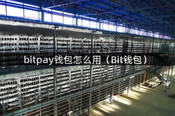 bitpay钱包怎么用（Bit钱包）