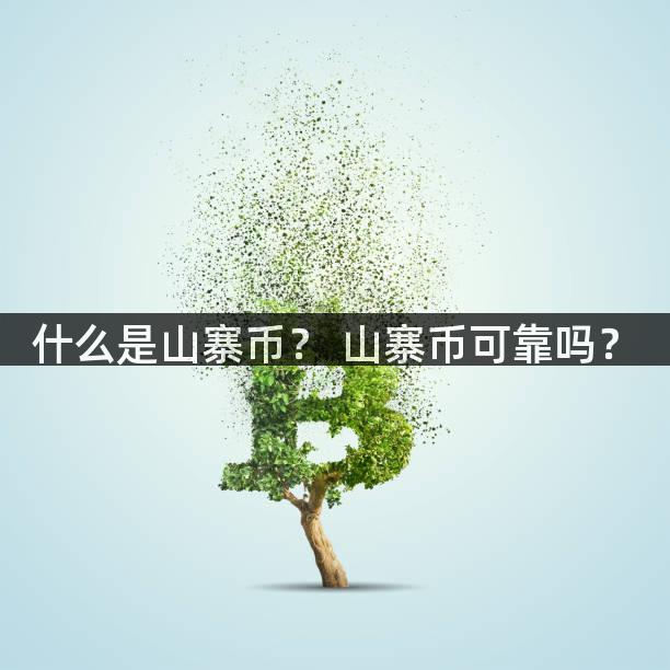 什么是山寨币？ 山寨币可靠吗？