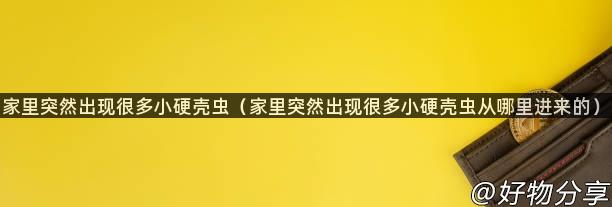 家里突然出现很多小硬壳虫（家里突然出现很多小硬壳虫从哪里进来的）