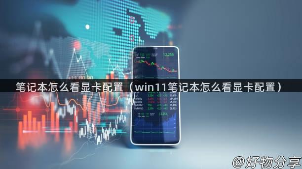 笔记本怎么看显卡配置（win11笔记本怎么看显卡配置）