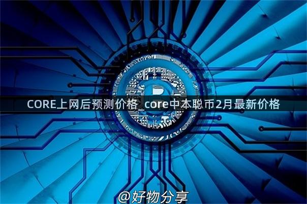 CORE上网后预测价格_core中本聪币2月最新价格