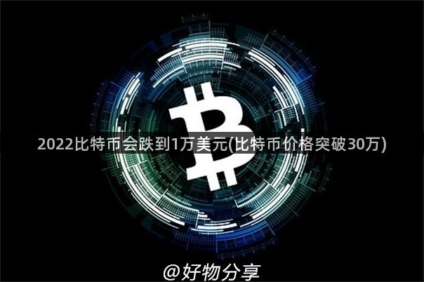 2022比特币会跌到1万美元(比特币价格突破30万)