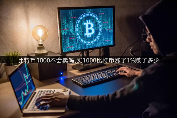 比特币1000不会卖吗,买1000比特币涨了1%赚了多少