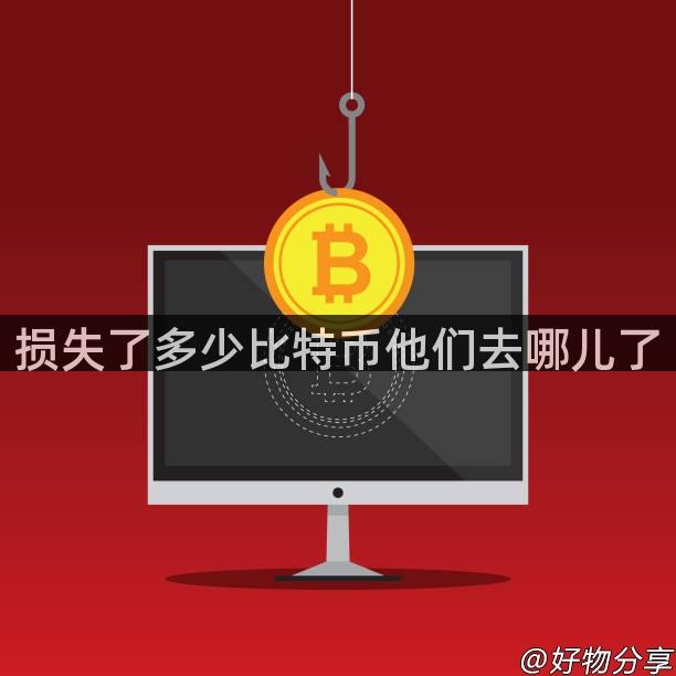 损失了多少比特币他们去哪儿了