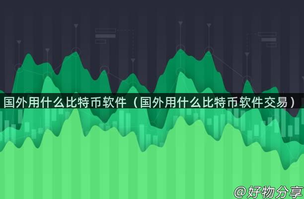 国外用什么比特币软件（国外用什么比特币软件交易）