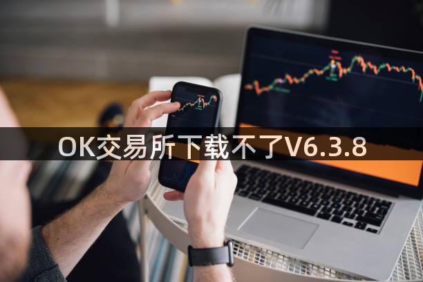 OK交易所下载不了V6.3.8