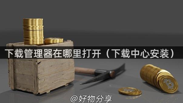 下载管理器在哪里打开（下载中心安装）