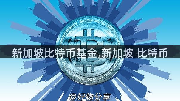 新加坡比特币基金,新加坡 比特币