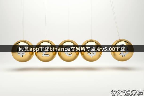 殴意app下载binance交易所安卓版v5.08下载