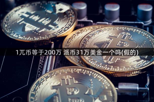 1兀币等于200万 派币31万美金一个吗(假的)