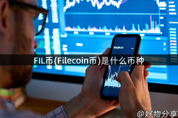 FIL币(Filecoin币)是什么币种