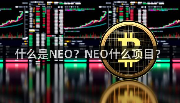 什么是NEO？NEO什么项目？