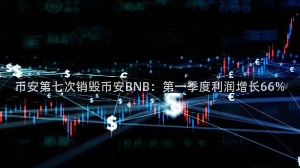 币安第七次销毁币安BNB：第一季度利润增长66%