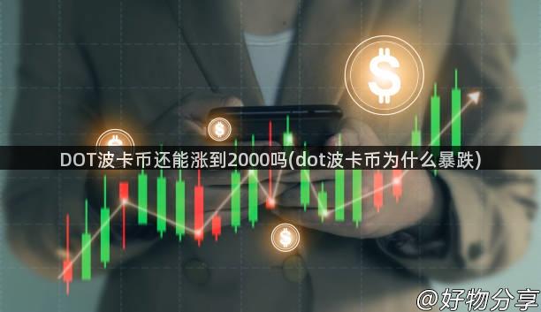 DOT波卡币还能涨到2000吗(dot波卡币为什么暴跌)