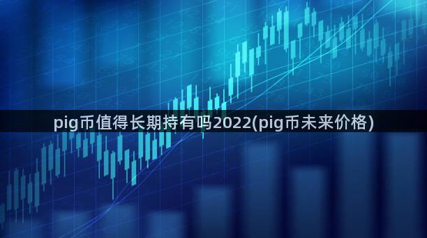 pig币值得长期持有吗2022(pig币未来价格)