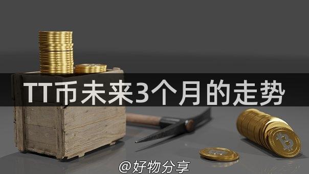 TT币未来3个月的走势