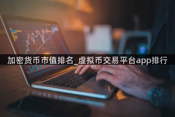 加密货币市值排名_虚拟币交易平台app排行