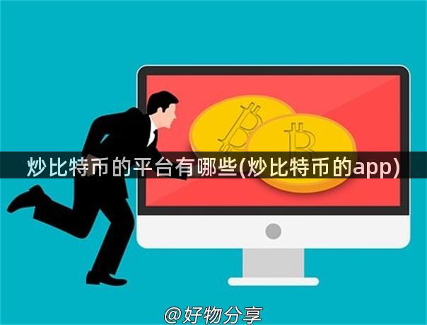 炒比特币的平台有哪些(炒比特币的app)