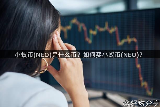 小蚁币(NEO)是什么币？如何买小蚁币(NEO)？