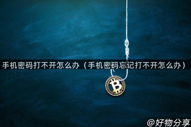 手机密码打不开怎么办（手机密码忘记打不开怎么办）