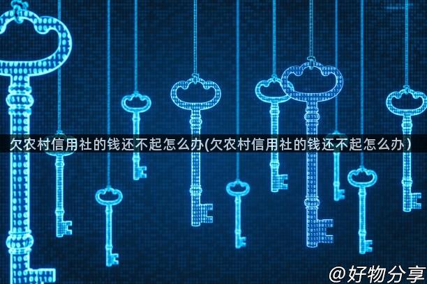 欠农村信用社的钱还不起怎么办(欠农村信用社的钱还不起怎么办）