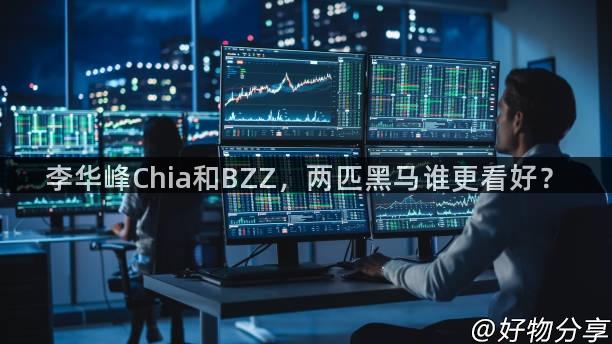 李华峰Chia和BZZ，两匹黑马谁更看好？